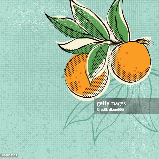orangen-werbeplakat vintage-stil - orange frucht stock-grafiken, -clipart, -cartoons und -symbole