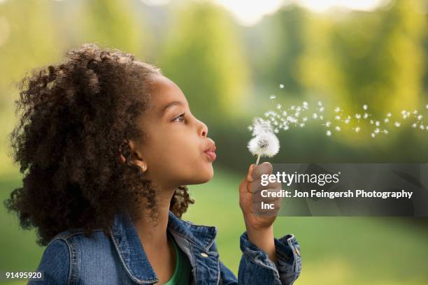 african girl blowing dandelion seeds - child dandelion stockfoto's en -beelden