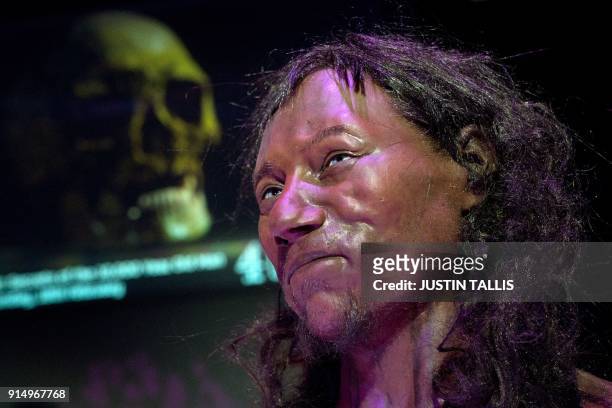 Full face reconstruction model made from the skull of a 10,000 year old man, known as 'Cheddar Man', Britain's oldest complete skeleton is pictured...