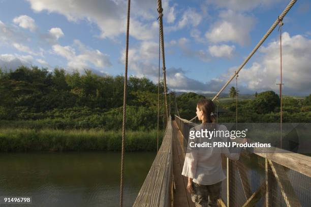 rear view of woman walking on wooden footbridge - natural change woman stockfoto's en -beelden