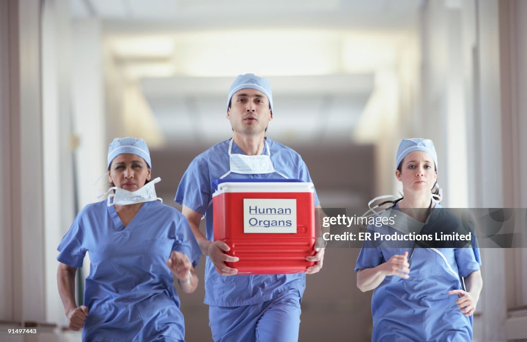 Hispanic medical professionals carrying human organ cooler