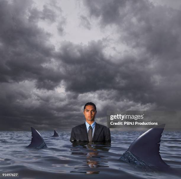 hispanic businessman standing in water with sharks - dark humor stock pictures, royalty-free photos & images