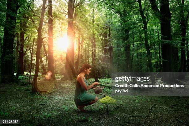 hispanic woman watering young tree in forest - holding watering can stock pictures, royalty-free photos & images