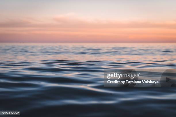 morning sea close-up view romantic beautiful background - sonnenuntergang sonnenaufgang landschaft stock-fotos und bilder