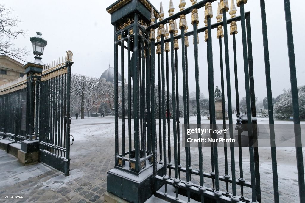 Snow falls on the Jardin des Plantes in Paris