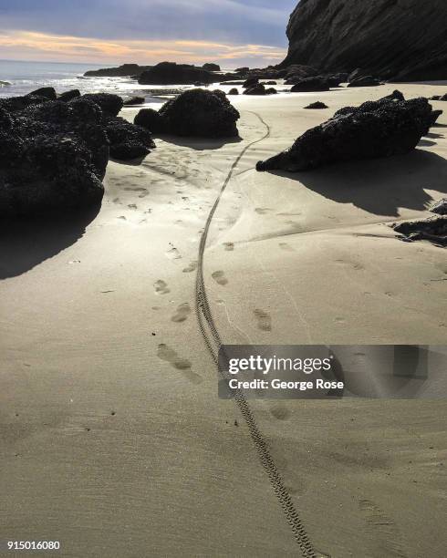 Bike tire mark in the sand at low tide is viewed on January 31 at Gaviota State Beach, California. Because of its close proximity to Southern...