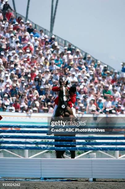 Axel Verlooy, Equestrian team jumping competition, Santa Anita Park, at the 1984 Summer Olympics, August 7, 1984.