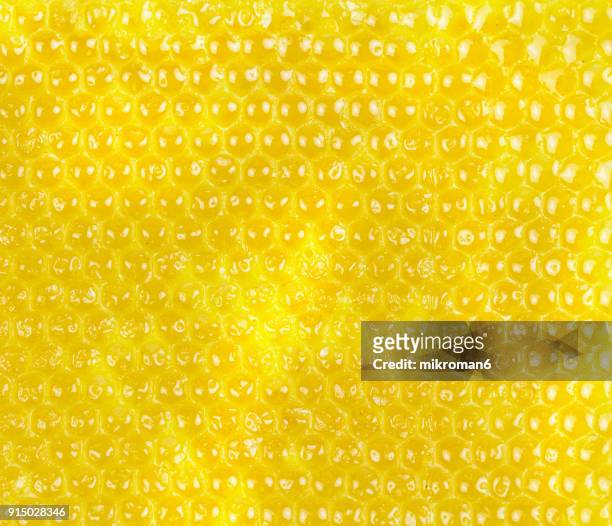 raw organic honeycomb. apitherapy - motif wax photos et images de collection
