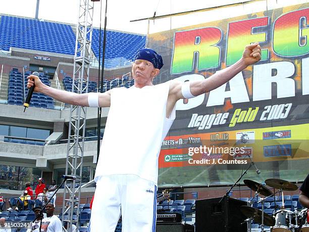 Yellowman Raggae 126 Yellowman Photos & High Res Pictures - Getty Images