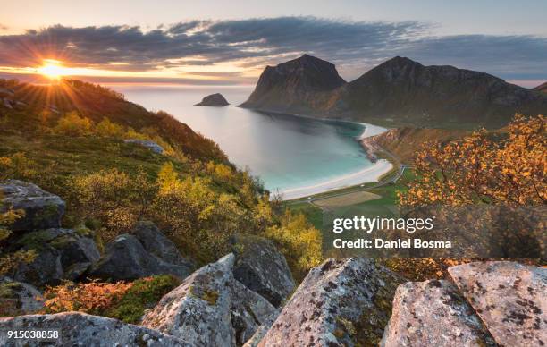 spectacular view during sunset down to haukland beach from a mountain, surrounded by bright autumn colors - autumn norway stock pictures, royalty-free photos & images