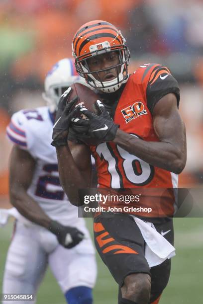 Green of the Cincinnati Bengals hauls in the pass during the game against the Buffalo Bills at Paul Brown Stadium on Ocotber 8, 2017 in Cincinnati,...