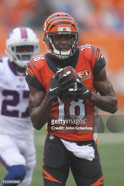 Green of the Cincinnati Bengals hauls in the pass during the game against the Buffalo Bills at Paul Brown Stadium on Ocotber 8, 2017 in Cincinnati,...