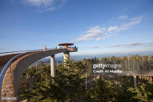 clingmans dome - parco nazionale great smoky mountains foto e immagini stock