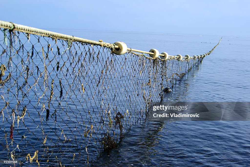 Long net going thought the ocean