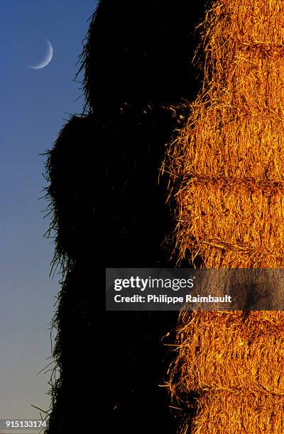 bundle of hay with moon - bottes stock pictures, royalty-free photos & images