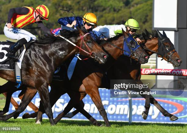 John Allen riding Peaceful State defeats Kaching and Call Me Handsome in Race 7 during Melbourne Racing at Sandown Lakeside on February 7, 2018 in...