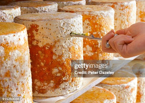 CHEESE MAKER TESTING STILTON CHEESE MAKER TESTING STILTON