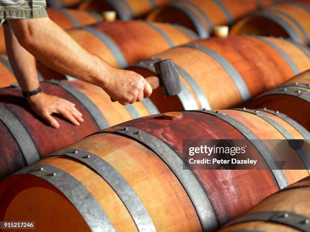 vintner in wine cellar - wijnvat stockfoto's en -beelden