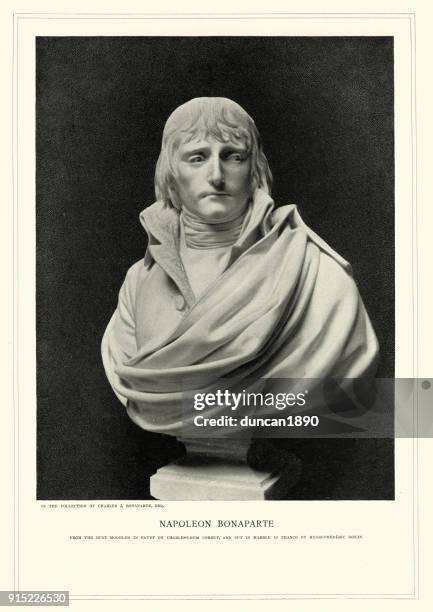 bust of napoleon bonaparte - napoleonic wars stock illustrations