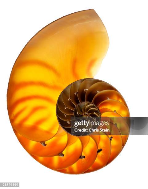 Beautiful Math Photos and Premium High Res Pictures - Getty Images