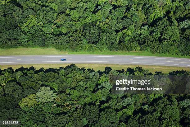 Car on road through forest