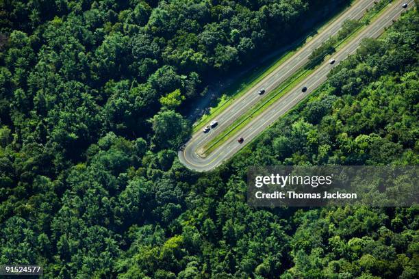 highway u-turn in forest - end bildbanksfoton och bilder