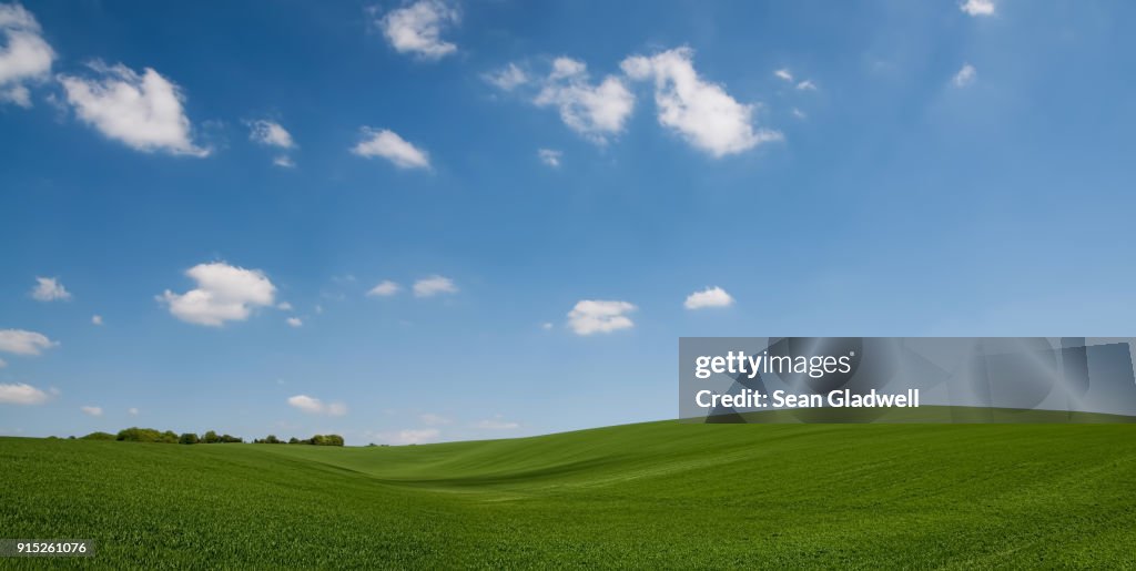 Rolling hill green crops