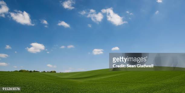 rolling hill green crops - grass area stock pictures, royalty-free photos & images