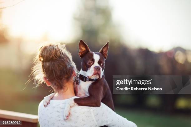 10 year old girl holding her boston terrier dog - boston terrier fotografías e imágenes de stock