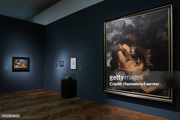 General view with Rubens "prometheus" at the 'Rubens - Kraft der Verwandlung' exhibition preview at Staedel Museum on February 7, 2018 in Frankfurt...