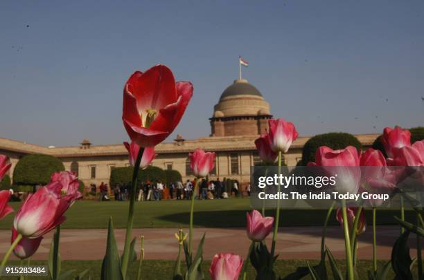 Press preview of Mughal Garden at Rashtrapati Bhawan in New Delhi.