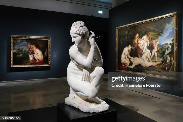 Roman Venus and the Rubens " Venus mourning Adonis" at the 'Rubens - Kraft der Verwandlung' exhibition preview at Staedel Museum on February 7, 2018...