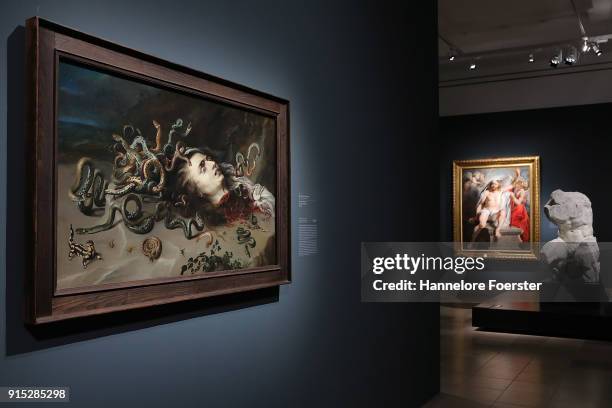 Rubens " Head of Medusa" at the 'Rubens - Kraft der Verwandlung' exhibition preview at Staedel Museum on February 7, 2018 in Frankfurt am Main,...