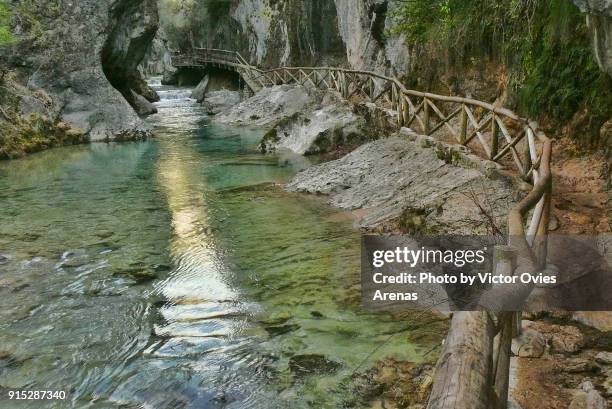 path along the water edge inside the ravine of river borosa in cazorla natural park - cazorla stock pictures, royalty-free photos & images