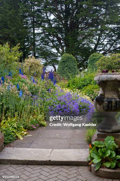 Path with geranium and delphinium flowers in the garden of the Larnach Castle near Dunedin on the South Island in New Zealand.