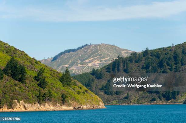 View of forest clear cuts in Tory Sound in the Marlborough Sounds of the South Island in New Zealand.