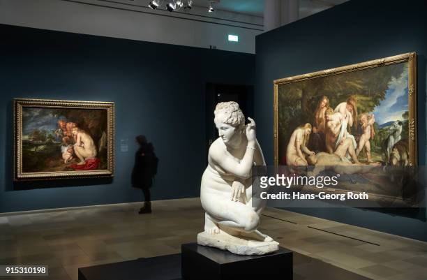 General view seen during the 'Rubens - Kraft der Verwandlung' exhibition preview at Staedel Museum on November 23, 2017 in Frankfurt am Main,...