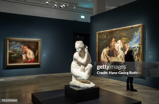 General view seen during the 'Rubens - Kraft der Verwandlung' exhibition preview at Staedel Museum on November 23, 2017 in Frankfurt am Main,...