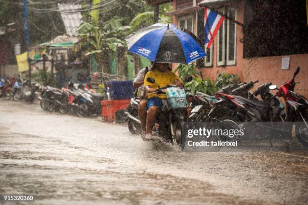 scooter driving at monsoon rain, koh tao, thailand - koh tao thailand stock pictures, royalty-free photos & images