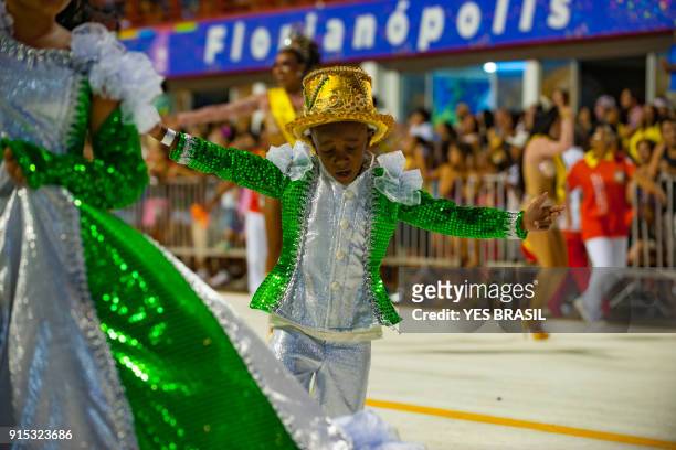 carnaval - brasil - bandeira (símbolo da escola de samba) - roda de samba - fotografias e filmes do acervo