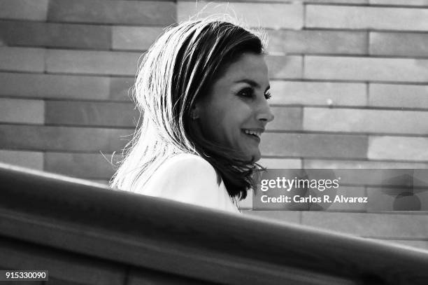 Queen Letizia of Spain attends the proclamation of the winner of the '2018 Princess of Girona Foundation' Arts and Literature category at the...