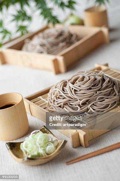 soba noodles with leeks - soba stock pictures, royalty-free photos & images