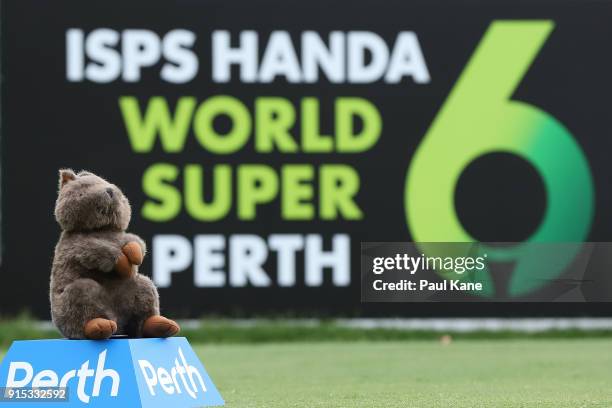 Quokka tee marker is seen on the 3rd tee during the pro-am ahead of the World Super 6 at Lake Karrinyup Country Club on February 7, 2018 in Perth,...