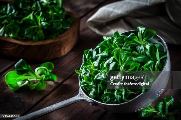 feldsalat in einem alten metall sieb - feldsalat stock-fotos und bilder