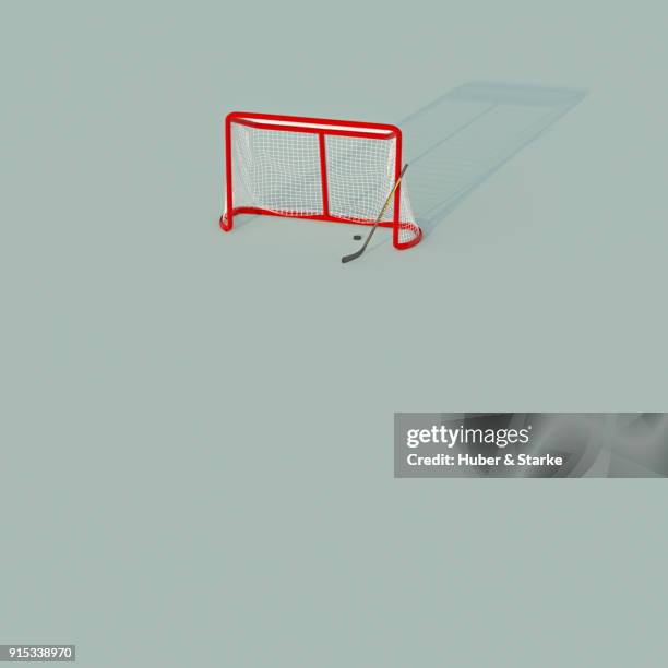 ice hockey - hockey puck top view stock pictures, royalty-free photos & images