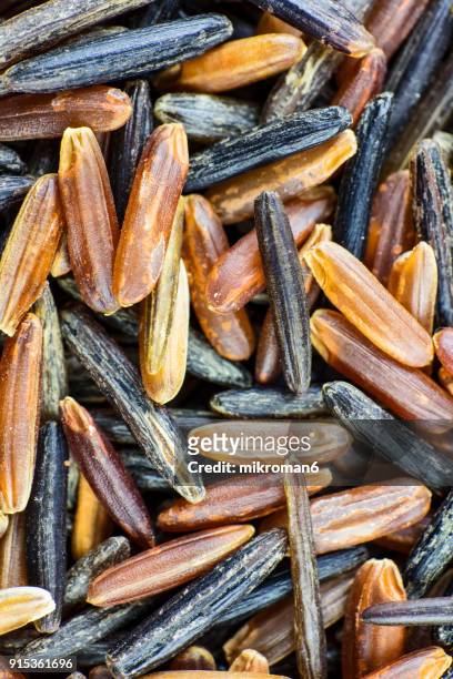 wild, red rice directly above view, macro shot. traditional food. - national diet of japan stock pictures, royalty-free photos & images
