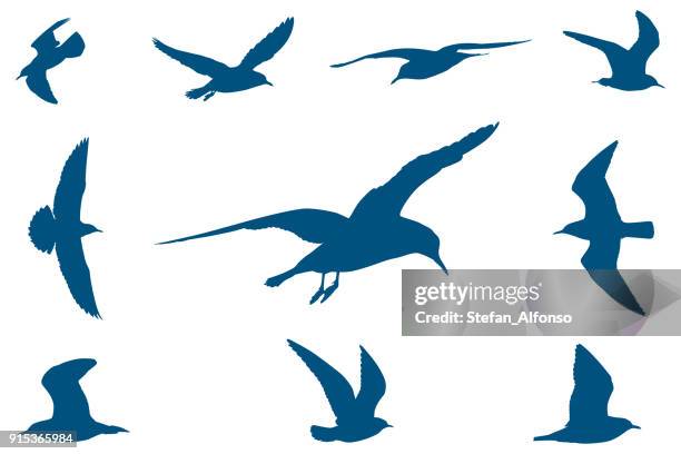 seagulls - seagull stock illustrations