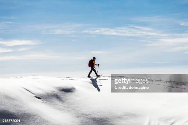 donna ciasci sul campo di neve - winter sport foto e immagini stock