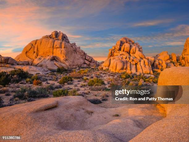 désert du sud-ouest des usa à joshua tree national park, ca - arbre de josué photos et images de collection