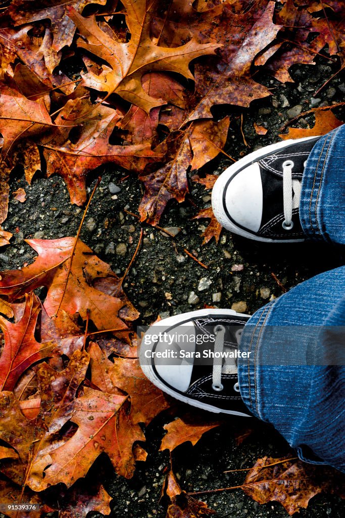 Black Sneakers on Autumn Leaves
